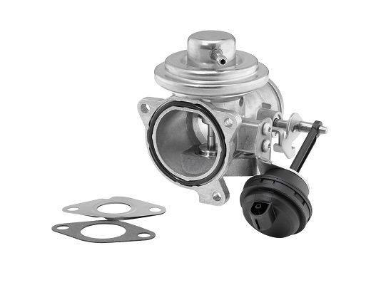 BorgWarner 7293D: EGR-klapp koos tihenditega