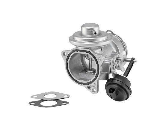 BorgWarner 7371D: EGR-klapp koos tihenditega