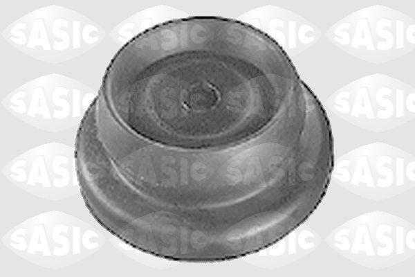 SASIC 0375265: Vedruamordi tugilaager Esisild