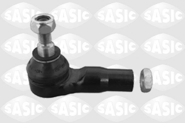 SASIC 0594124: Rooliots Esisild