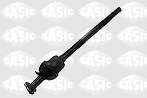 SASIC 1034964: Rool