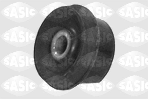 SASIC 1315475: Puks Tagasild, ees