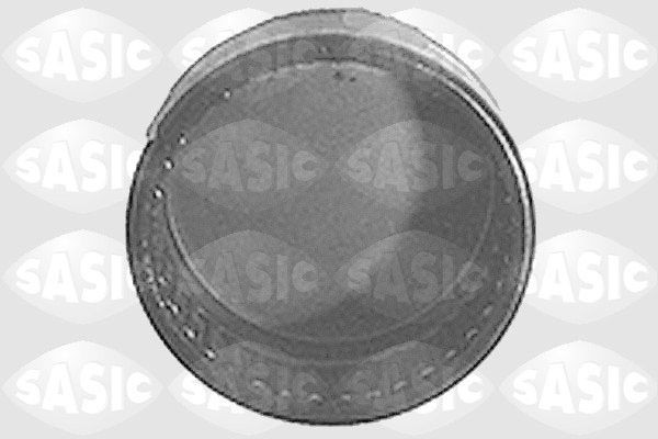 SASIC 1315485: Kinnitus, sillatala Tagasild