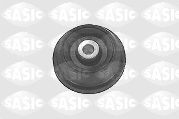 SASIC 1615205: Amortizatoriaus atrama galinė ašis