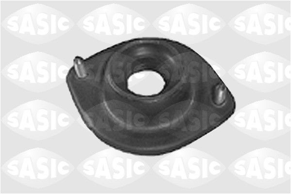 SASIC 2001003: Vedruamordi tugilaager Esisild