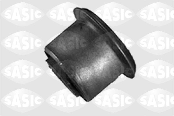 SASIC 2005250: Puks Esisild, ees, all