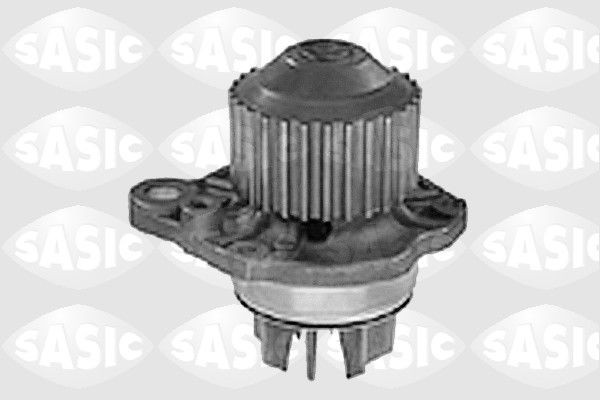 SASIC 2011A61: Veepump