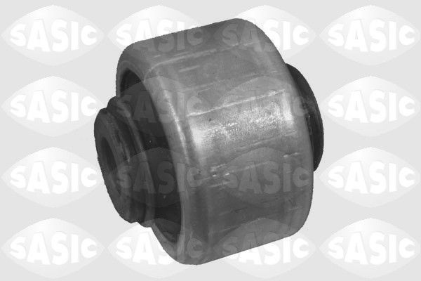 SASIC 2250001: Puks Esisild, ees, all