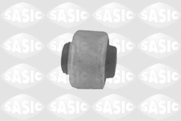 SASIC 2250002: Puks Esisild, ees, all