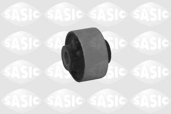 SASIC 2250007: Puks Esisild, taga, all
