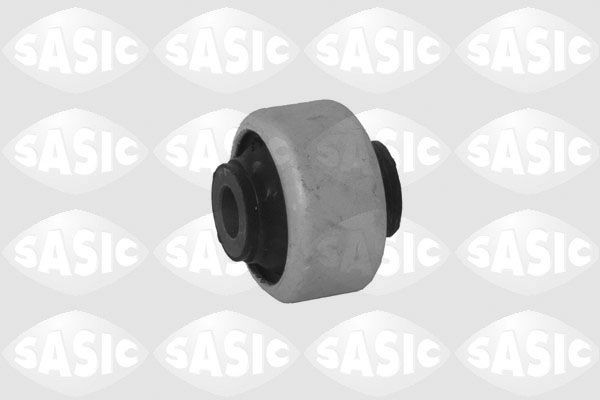 SASIC 2250012: Puks Esisild, ees, all