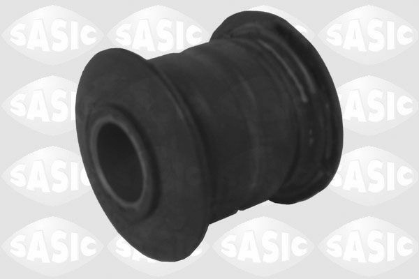 SASIC 2254001: Puks Esisild, taga, üleval