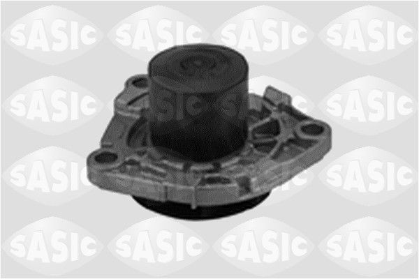 SASIC 3606015: Veepump