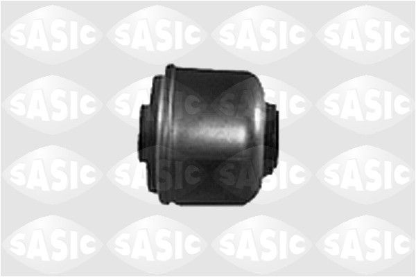SASIC 4001413: Puks Esisild, all