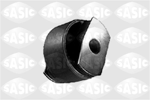 SASIC 4001534: Puks Esisild, taga, all