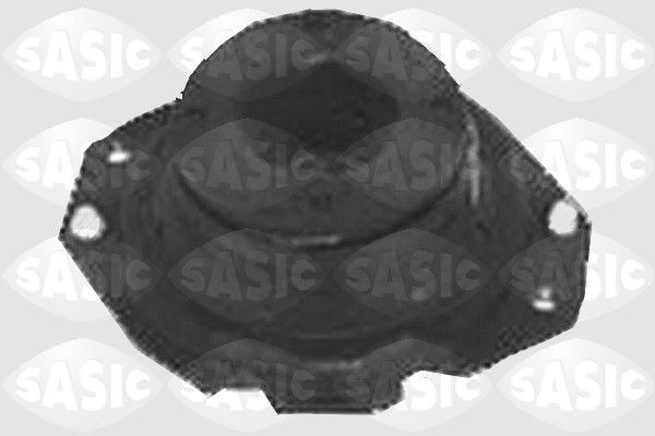 SASIC 4001644: Vedruamordi tugilaager Esisild