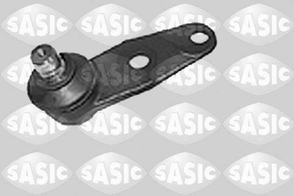 SASIC 4005277: Kande- / juhtliigend Esisild, all
