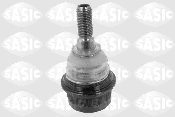 SASIC 4005279: Kande- / juhtliigend Esisild, üleval