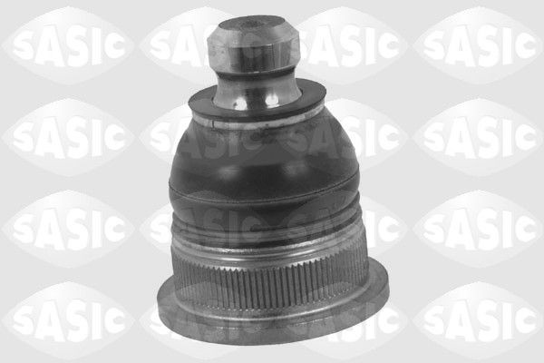 SASIC 4005280: Kande- / juhtliigend Esisild, all