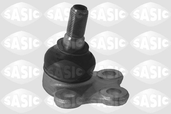 SASIC 4005281: Kande- / juhtliigend Esisild, all