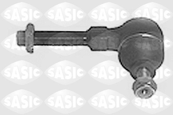 SASIC 4006111: Rooliots Esisild