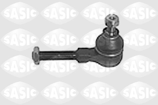 SASIC 4006112: Rooliots Esisild
