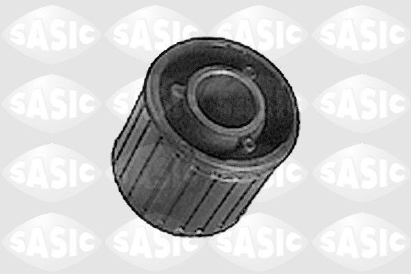 SASIC 5233453: Puks Esisild, taga, all