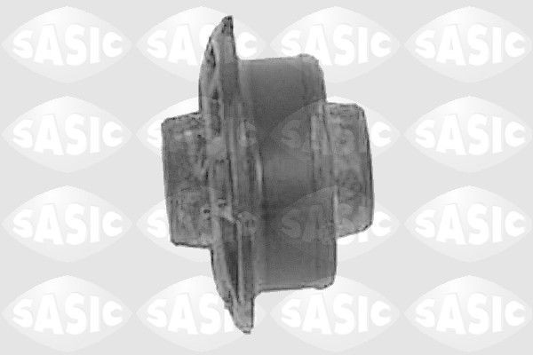 SASIC 5233993: Puks Esisild, taga, all