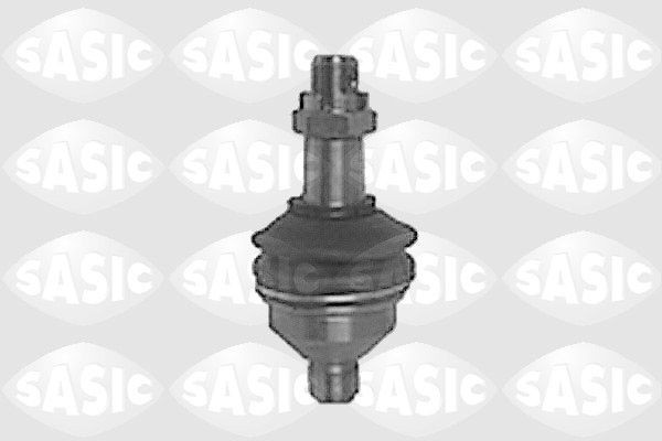 SASIC 6083283: Kande- / juhtliigend Esisild