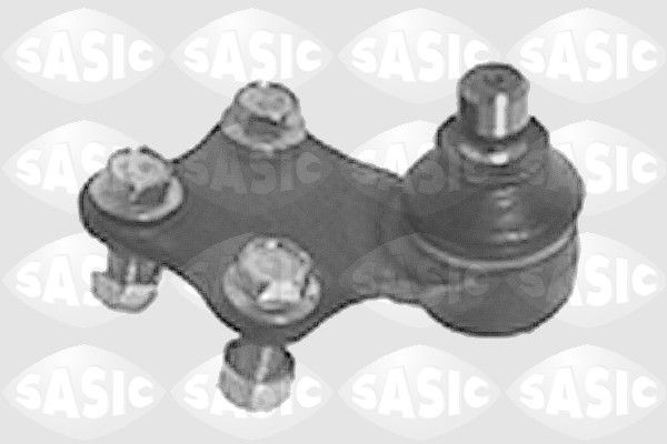 SASIC 6403313: Kande- / juhtliigend Esisild, all