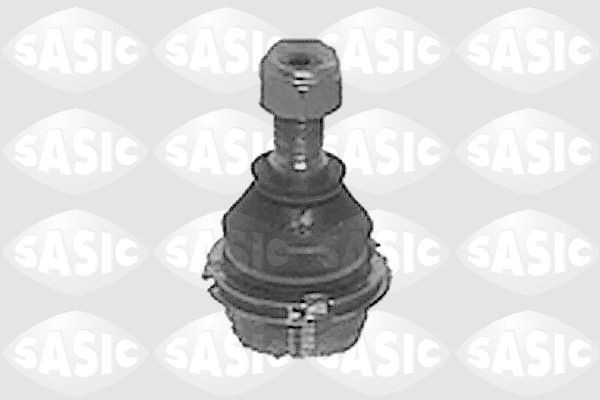 SASIC 6403343: Kande- / juhtliigend Esisild, all