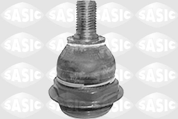 SASIC 6403533: Kande- / juhtliigend Esisild, all, vasakul