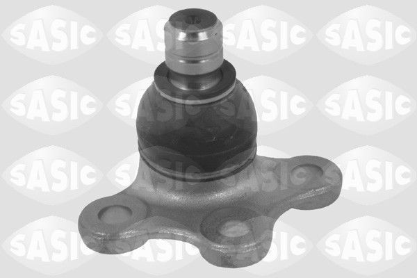 SASIC 6403623: Kande- / juhtliigend Esisild, all, paremal