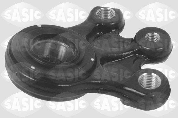 SASIC 6403723: Kande- / juhtliigend Esisild, all, paremal