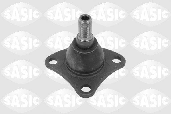 SASIC 7570001: Kande- / juhtliigend Esisild, all