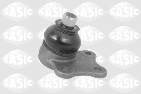 SASIC 7576002: Kande- / juhtliigend Esisild, all