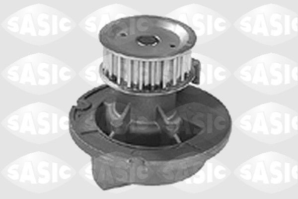 SASIC 9001276: Veepump