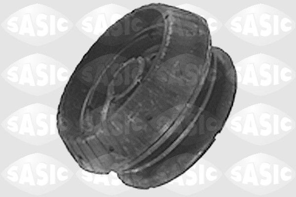 SASIC 9001454: Vedruamordi tugilaager Esisild