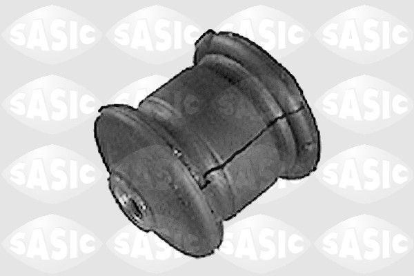 SASIC 9001514: Puks Esisild, taga, all