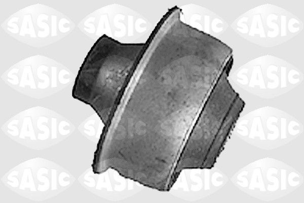 SASIC 9001516: Puks Esisild, taga, all