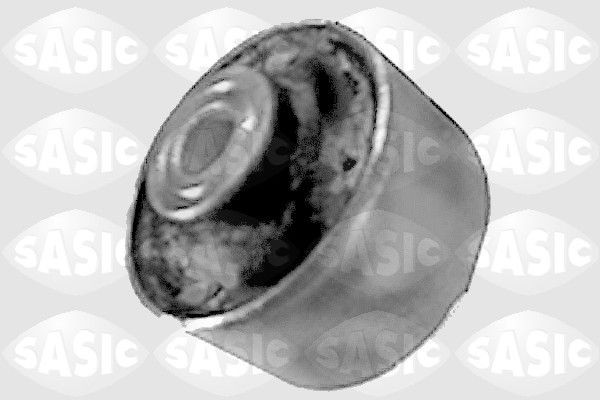 SASIC 9001543: Puks Esisild, taga, üleval