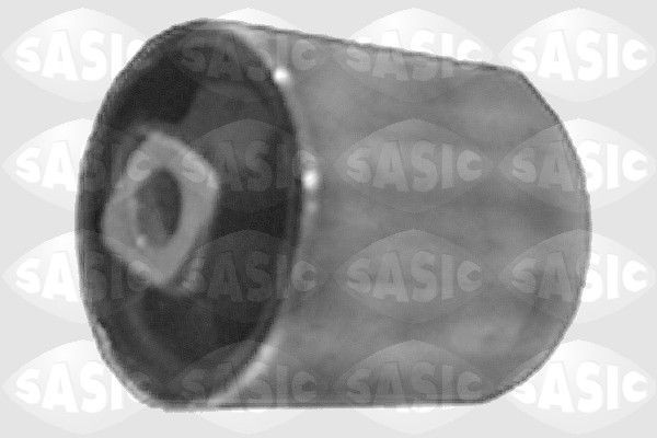 SASIC 9001565: Puks Esisild