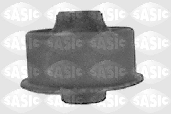 SASIC 9001595: Puks Esisild, taga, all