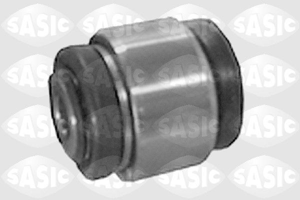 SASIC 9001637: Puks Tagasild, taga