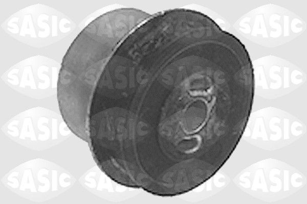 SASIC 9001644: Puks Tagasild, ees