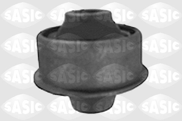 SASIC 9001648: Puks Esisild, taga, all