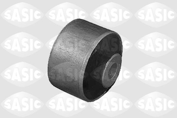 SASIC 9001758: Puks Esisild, taga, üleval
