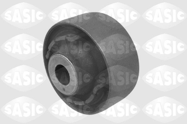 SASIC 9001775: Puks Esisild, taga, all