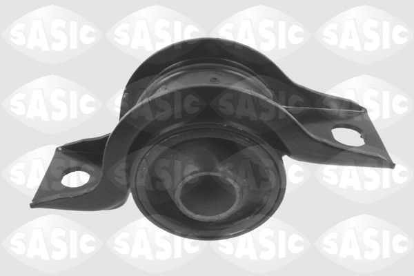 SASIC 9001793: Puks Esisild, taga, all
