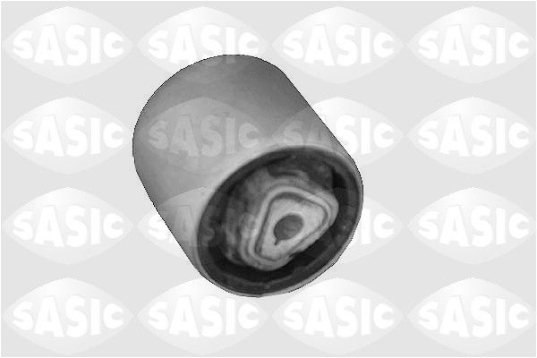 SASIC 9003106: Puks Esisild, taga, all